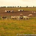 Wiltshire - England