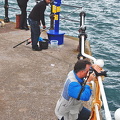 Fishing in Torquay