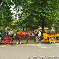 Jaunting carts for hire