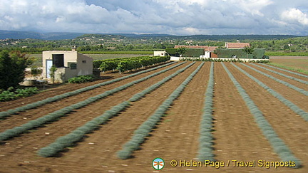 Cavaillon and Luberon, France