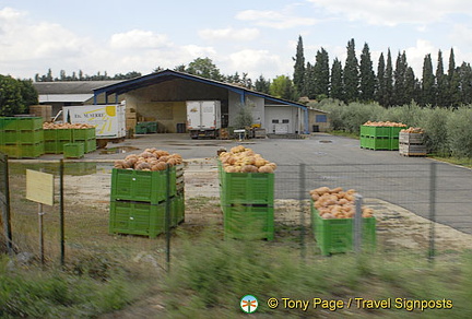 Cavaillon and Luberon, France