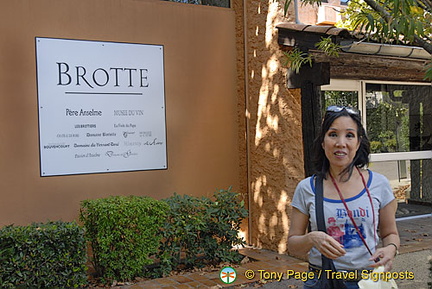 Wine-tasting, Chateauneuf du Pape, Provence, France