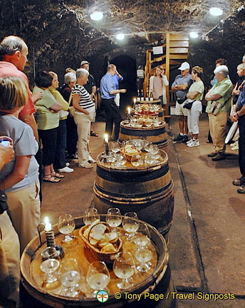 Wine-tasting, Gevry-Chambertin, Cote d'Or, France