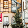 Quai de la Poissonnerie (907访问量) Rhino on the loose at the Quai de la Poissonnerie Quai de la Poissonnerie