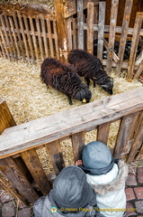 Petite Venise Children's Market