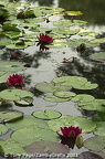 Giverny - France