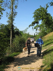 Bois de Boulogne, Paris