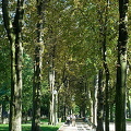 Bois de Boulogne, Paris
