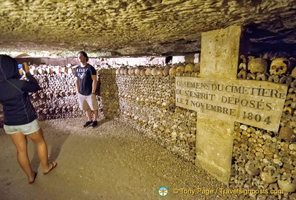 Bones from the Cimetiere du S'esprit, deposited here on 7 Nov 1804