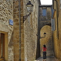 Sarlat-la-Caneda (846 visingar) Sarlat-la-Caneda