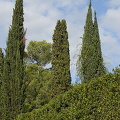 St.-Paul de Vence