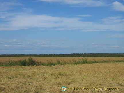 Stes Maries-de-la-Mer, Camargue, France