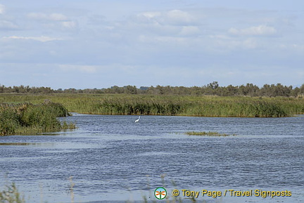 The Camargue - Provence, France