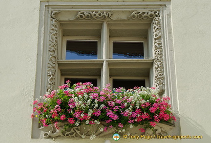 Old Town Hall window