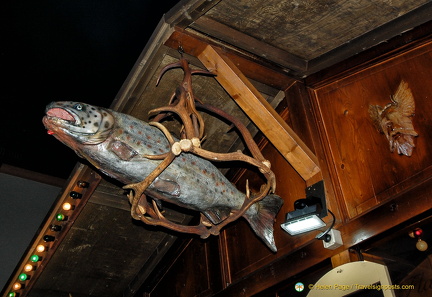 Roast salmon stall