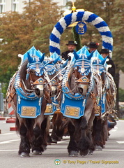 The Hofbrau dray was one of the most attractive