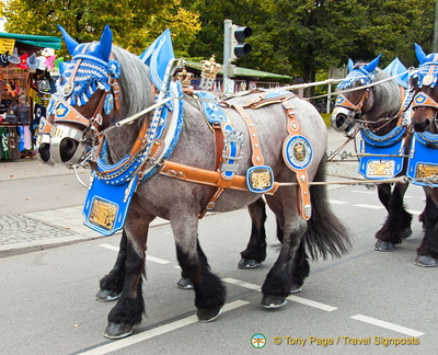 Hofbrau horse