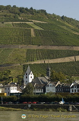 [Rhine Castles - Rhine River Cruise - Germany]