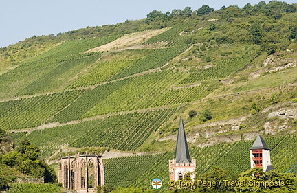 [Rhine Castles - Rhine River Cruise - Germany]