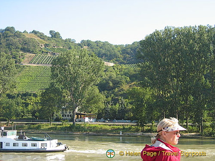 [Rhine Castles - Rhine River Cruise - Germany]