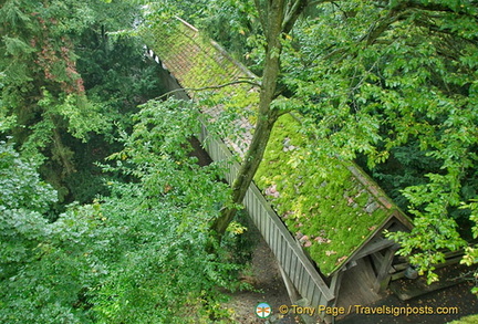 View of Rothenburg medieval wall from the Roderturm