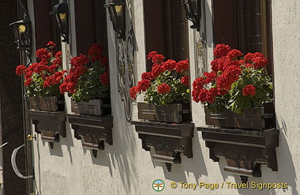 Rudesheim | Rhine River Cruise