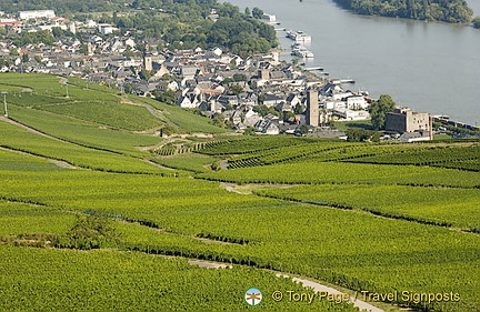 [Rudesheim - Rhine River Cruise - Germany]