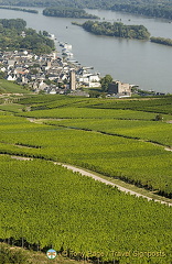 [Rudesheim - Rhine River Cruise - Germany]