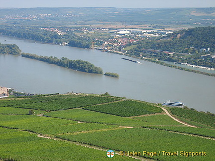 [Rudesheim - Rhine River Cruise - Germany]