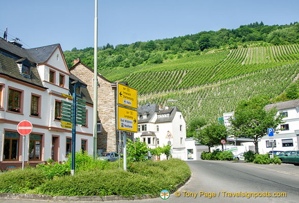 Street in Trarbach