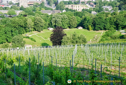 Grounds where Roman baths used to be