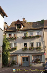 [Wertheim - Main River Cruise - Germany]