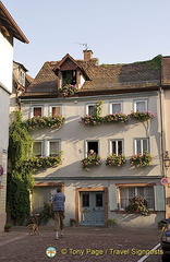 [Wertheim - Main River Cruise - Germany]