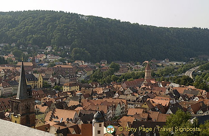 [Wertheim - Main River Cruise - Germany]