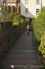 [Wertheim - Main River Cruise - Germany]