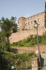 [Wertheim - Main River Cruise - Germany]