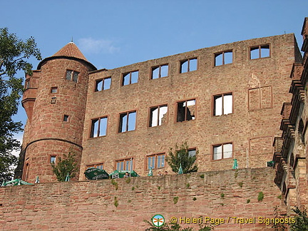 [Wertheim - Main River Cruise - Germany]