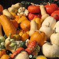Pumpkins at the Würzburg market (1859 besøg) Pumpkins at the Würzburg market
