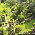 Blarney Castle - County Cork (2825 visits) View of ruined towers from top of Castle keep Blarney Castle - County Cork