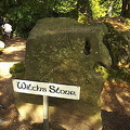 Blarney Castle Gardens (3892 visits) Witch's Stone - Can you see the witch? Blarney Castle Gardens