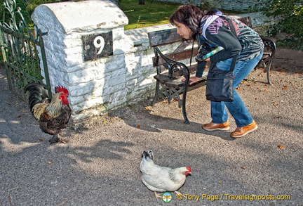 This is me doing my Dr. Doolittle thing