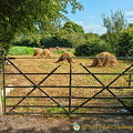Folk Park farm