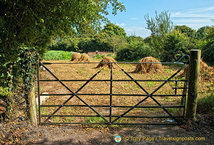 Folk Park farm