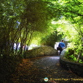 Folk Park pathway