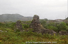 DSC_0501.jpg