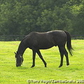 The grounds are well kept and beautiful 
