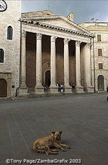 Tempio di Minerva on Piazza del Comune