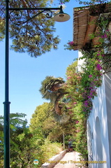 A stretch of ViaTragara, a scenic path to the Faraglioni