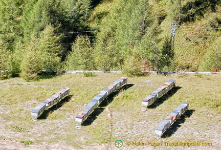 Beehives in Passo Giao