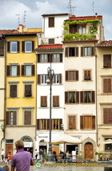 Nice greenery on the top apartment